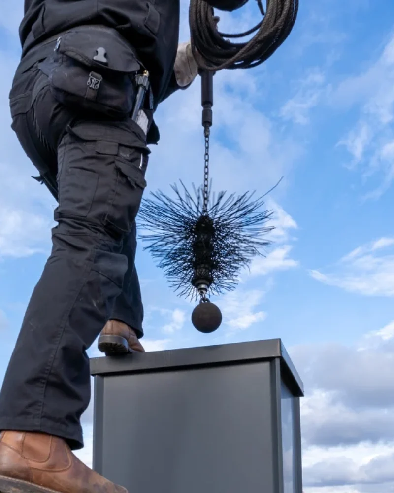 illustration-ramonage (3)-petite