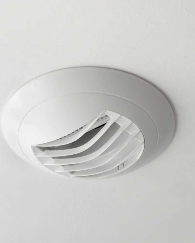 illustration-vmc (3)-petite