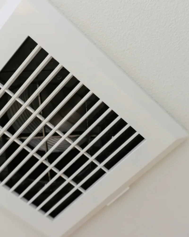 illustration-vmc (6)-petite