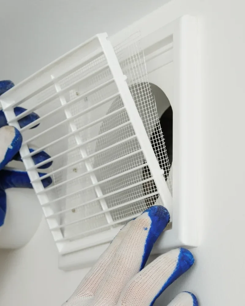 illustration-vmc (7)-petite